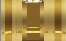 Owl Image